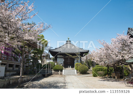 久米田寺（開山道）[大阪府岸和田市] 113559326