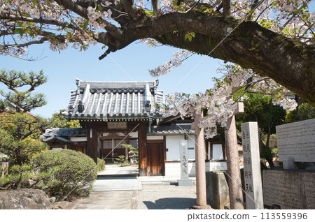 久米田寺（五台院）[大阪府岸和田市] 113559396