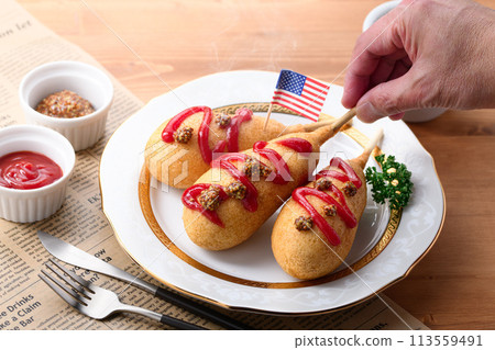 美國狗快餐 113559491