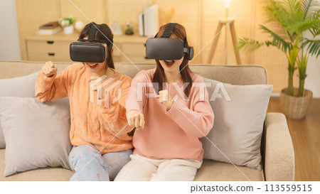 Friendship concept, LGBT lesbian couple wears VR goggles to playing boxing games in virtual reality Friendship concept, LGBT lesbian couple wears VR goggles to playing boxing games in virtual reality 113559515