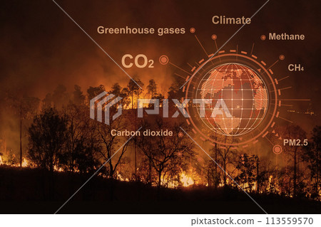 Forest fires are emitting substantial amounts of greenhouse gases and particulate matter into the atmosphere Forest fires are emitting substantial amounts of greenhouse gases and particulate matter into the atmosphere 113559570