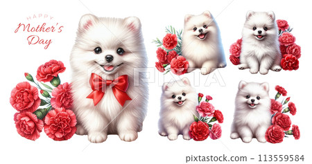 白色博美犬小狗與紅色康乃馨水彩插畫素材集 白色博美犬小狗與紅色康乃馨水彩插畫素材集 113559584