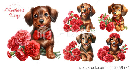 迷你臘腸犬小狗和紅色康乃馨水彩插畫素材集 迷你臘腸犬小狗和紅色康乃馨水彩插畫素材集 113559585