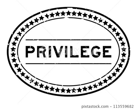 Grunge black privilege word oval seal stamp on white background 113559682