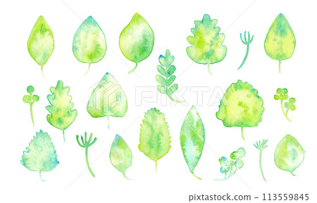 Watercolor painting. Watercolor nectar plant frame. Watercolor plant leaf illustration. Plant frame. Watercolor painting. Watercolor nectar plant frame. Watercolor plant leaf illustration. Plant frame. 113559845