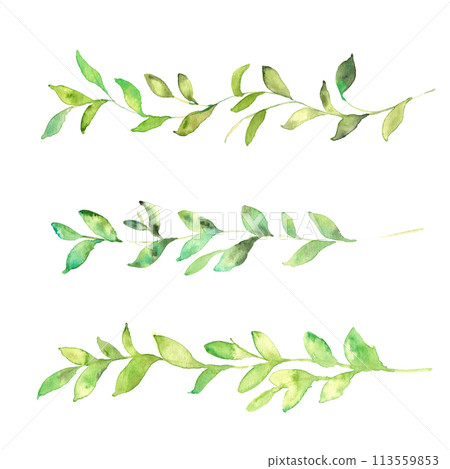 水彩。花蜜植物框架與水彩觸感。植物葉子的水彩插圖。植物框架。 水彩。花蜜植物框架與水彩觸感。植物葉子的水彩插圖。植物框架。 113559853