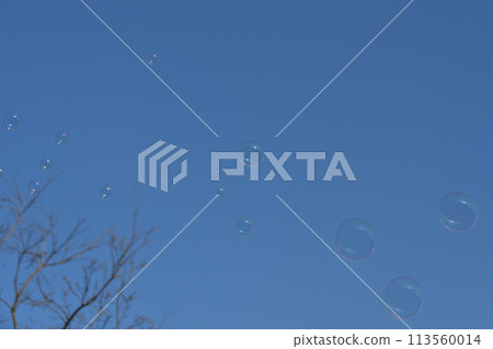 Bubbles floating in the blue sky 113560014