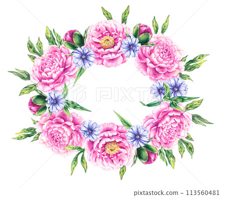 Pink floral wreath with blue flowers of the medicinal plant chicory Pink floral wreath with blue flowers of the medicinal plant chicory 113560481