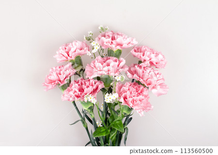 May Family Month Carnation Photo 113560500