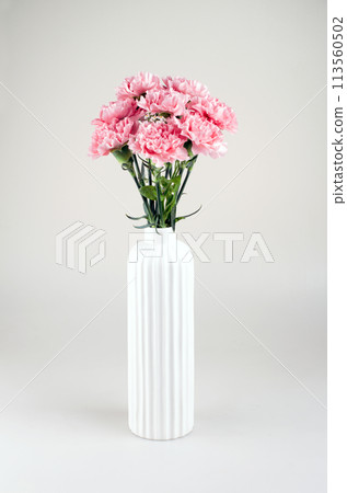 May Family Month Carnation Photo 113560502