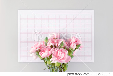 May Family Month Carnation Photo 113560507