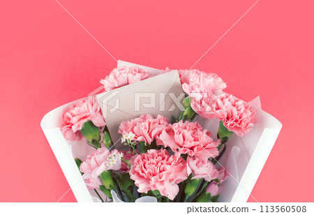 May Family Month Carnation Photo May Family Month Carnation Photo 113560508