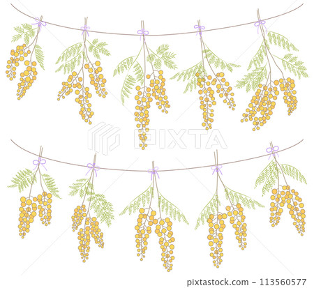 Mimosa flower garland hanging from a string [color] 113560577