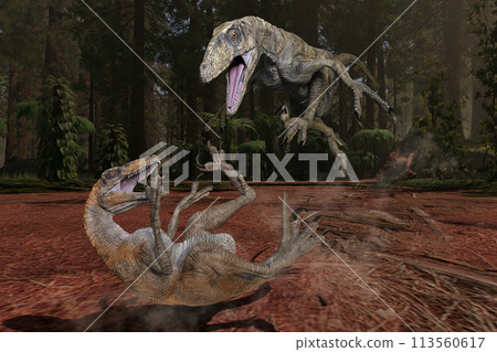 兩隻恐爪龍打鬥 113560617