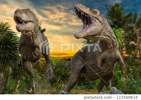 兩隻暴龍張開大嘴，尋找獵物。 113560618