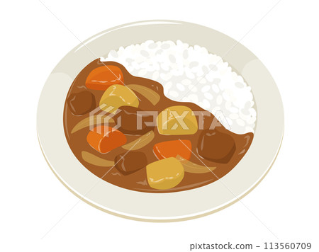 矢量圖的咖哩和米飯 矢量圖的咖哩和米飯 113560709