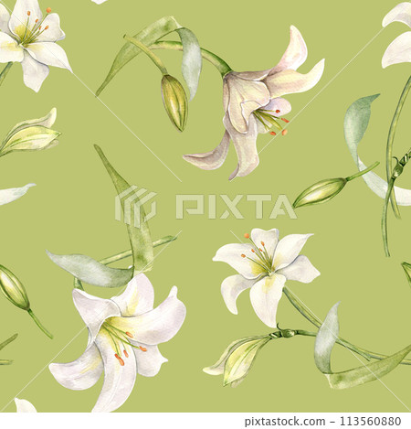 Flowers pastel color seamless pattern isolated on green. White lilies watercolor background. Backdrop with lilium and leaves. Floral design for wedding invitation, christening, Easter card, textile Flowers pastel color seamless pattern isolated on green. White lilies watercolor background. Backdrop with lilium and leaves. Floral design for wedding invitation, christening, Easter card, textile 113560880