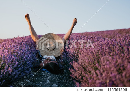 Woman lavender field. Happy carefree Woman legs stick out of the lavender bushes, warm sunset light. Bushes of lavender purple in blossom, aromatic flowers at lavender fields. Woman lavender field. Happy carefree Woman legs stick out of the lavender bushes, warm sunset light. Bushes of lavender purple in blossom, aromatic flowers at lavender fields. 113561206