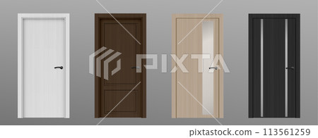 3d realistic wood front door inside modern house 113561259