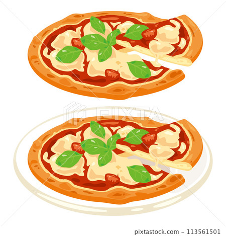 sliced margherita pizza 113561501