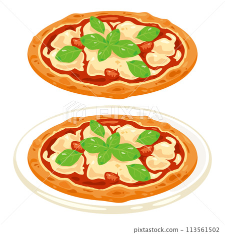 盤子上的瑪格麗特披薩 113561502