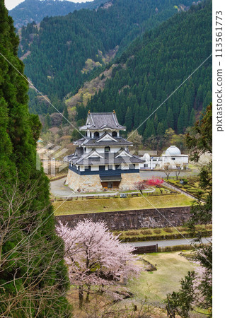 Sakura Fujihashi Castle 113561773