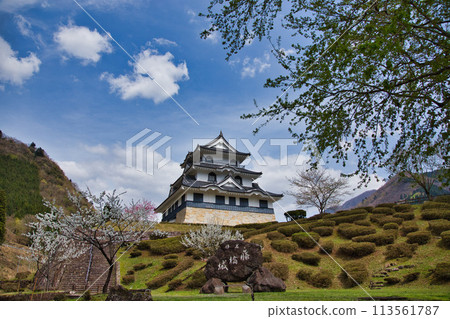 Sakura Fujihashi Castle 113561787