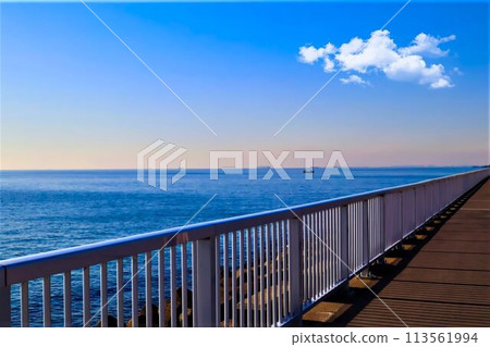 Road leading to the sea Road leading to the sea 113561994