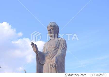 藍天和牛久大佛 113562530