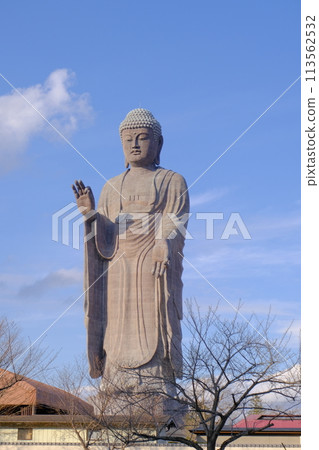 藍天和牛久大佛 113562532
