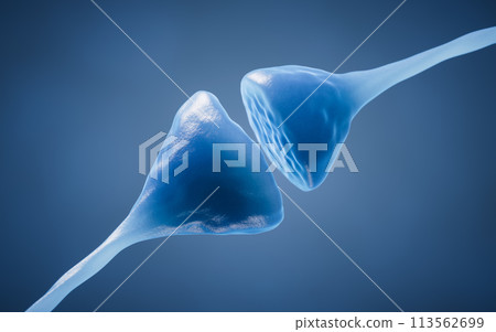 Synapse of neuron cell, biology concept, 3d rendering. 113562699