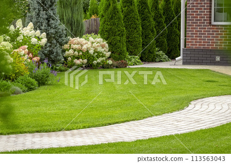 Freshly cut grass Freshly cut grass 113563043