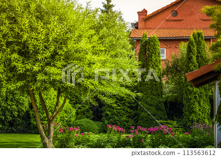 Back yard of a private house Back yard of a private house 113563612