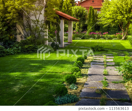 Back yard of a private house Back yard of a private house 113563613