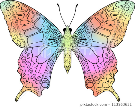 Colorful butterfly with digital gradient watercolor. Colorful butterfly with digital gradient watercolor. 113563631