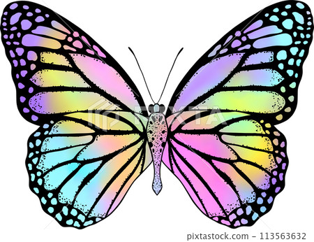 Colorful butterfly with digital gradient watercolor. Colorful butterfly with digital gradient watercolor. 113563632