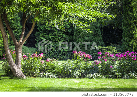 Backyard design elements Backyard design elements 113563772