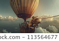 Hot Air Balloon Soaring Through the Sky Hot Air Balloon Soaring Through the Sky 113564677