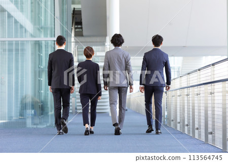 Business person walking back view 113564745