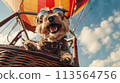 Dog in a Hot Air Balloon Wearing Sunglasses Dog in a Hot Air Balloon Wearing Sunglasses 113564756