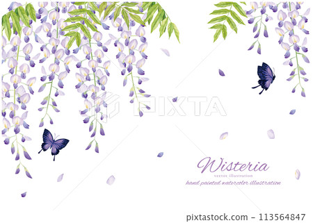 A gentle watercolor touch of wisteria and butterflies background material 113564847