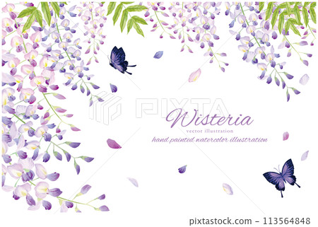 紫藤和蝴蝶的背景材料,具有柔和的水彩觸感 紫藤和蝴蝶的背景材料,具有柔和的水彩觸感 113564848