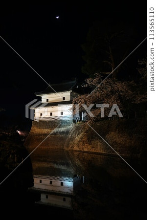 Spring illuminations at Shibata Castle Spring illuminations at Shibata Castle 113565110