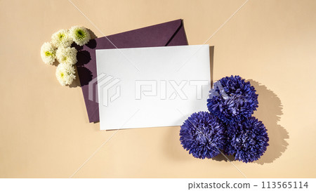 Composition with empty paper note and envelope beautiful spring violet and white flowers on beige background. Mockup card invitation greeting card postcard copy space template Composition with empty paper note and envelope beautiful spring violet and white flowers on beige background. Mockup card invitation greeting card postcard copy space template 113565114