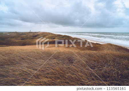 Endless Dune Landscape in western Denmark Endless Dune Landscape in western Denmark 113565161
