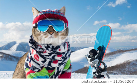 斜坡上的貓 斜坡上的貓 113565207