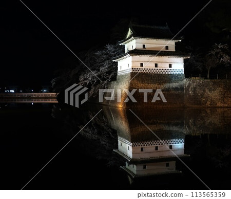 Spring illuminations at Shibata Castle Spring illuminations at Shibata Castle 113565359