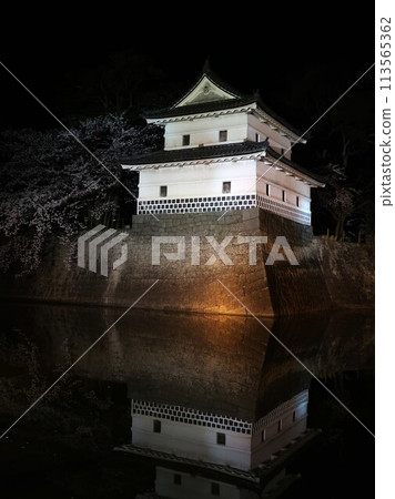Spring illuminations at Shibata Castle Spring illuminations at Shibata Castle 113565362