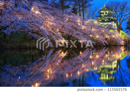[Niigata Prefecture] Symmetrical cherry blossoms at Takada Castle in full bloom at night (Takada Castle Site Park Cherry Blossom Viewing Association) 113565576