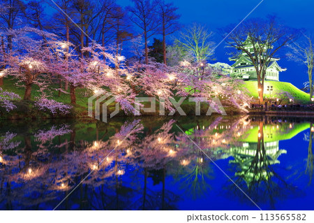 【新潟縣】高田城對稱的夜間櫻花盛開（高田城跡公園賞櫻會） 113565582
